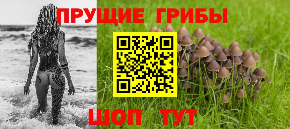 Псилоцибиновые грибы Psilocybe  Вход с VPN  продажа наркотиков  Галлюциногенные грибы ЛСД  Ногинск 